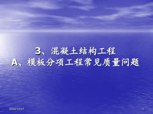 主体结构工程常见质量问题 ppt课件
