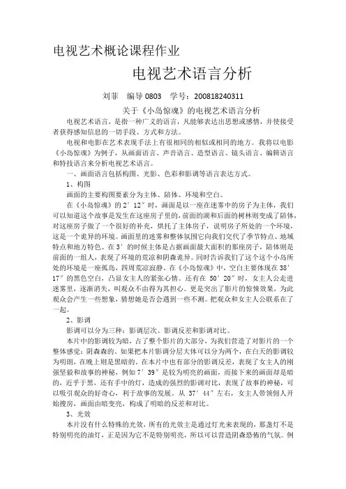 电视艺术语言分析