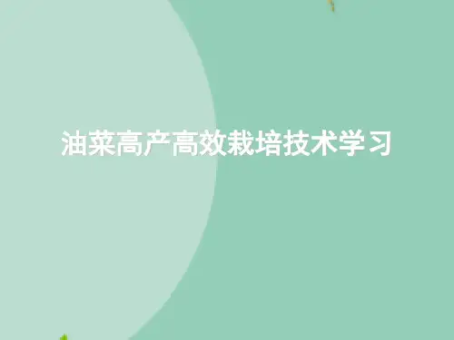 油菜高产高效栽培技术学习精选文档