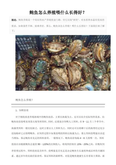 鲍鱼怎么养殖喂什么长得好