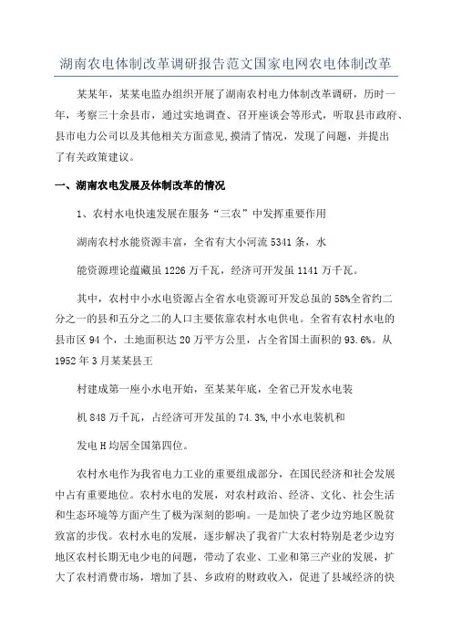 湖南农电体制改革调研报告范文国家电网农电体制改革