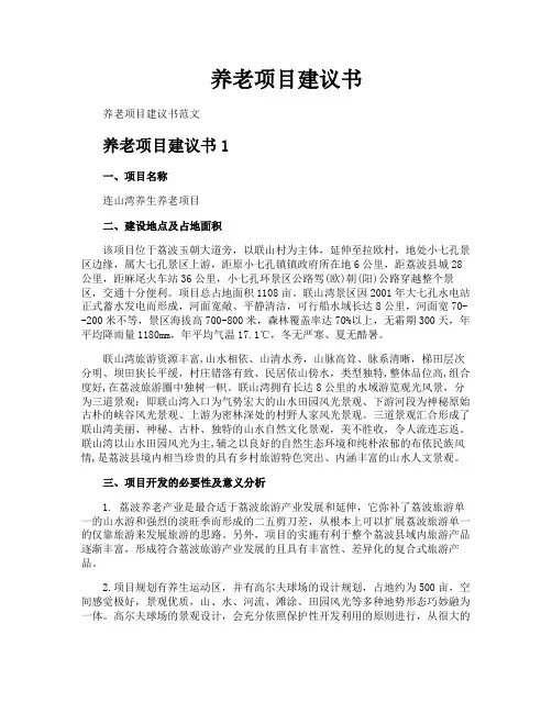 养老项目建议书