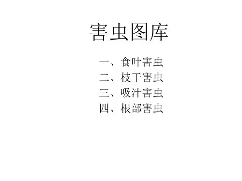 园林植物病虫害防治 害虫图库