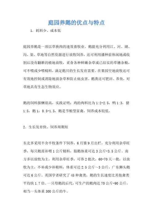 庭园养鹅的优点与特点