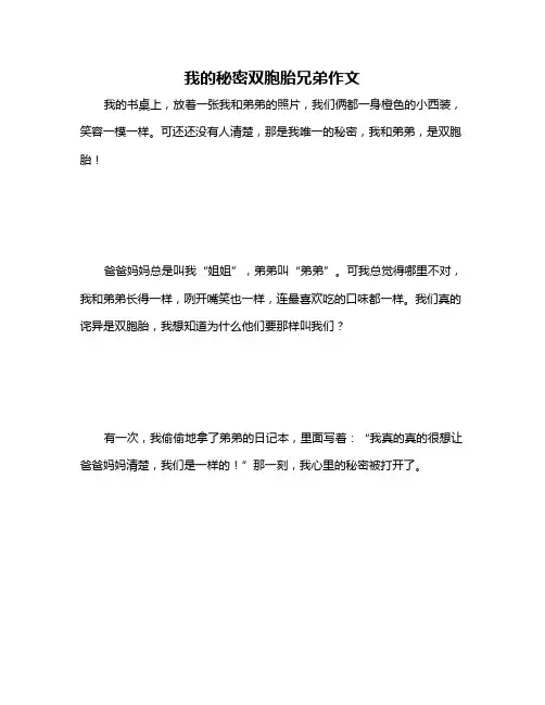 我的秘密双胞胎兄弟作文