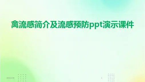 禽流感简介及流感预防ppt演示课件