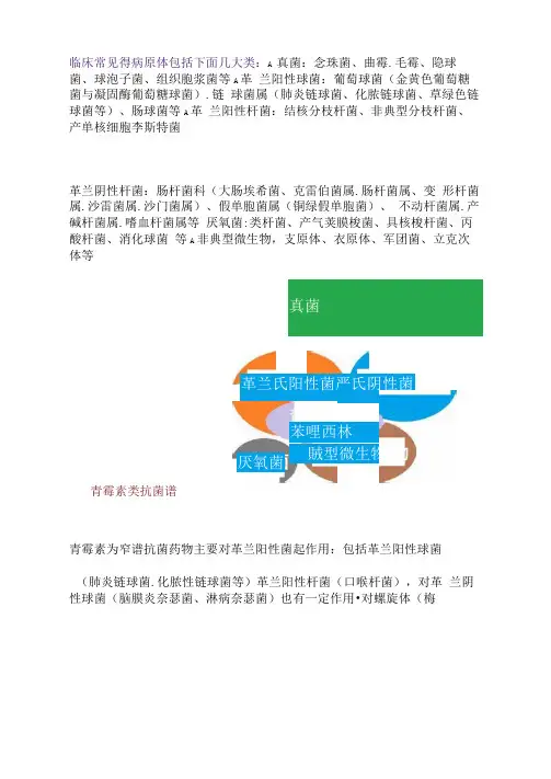 各抗菌药物的抗菌谱