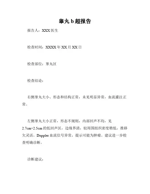 睾丸b超报告