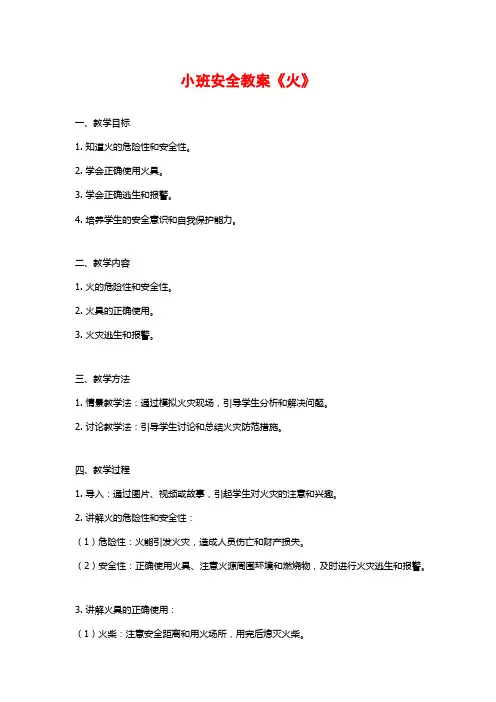 小班安全教案《火》