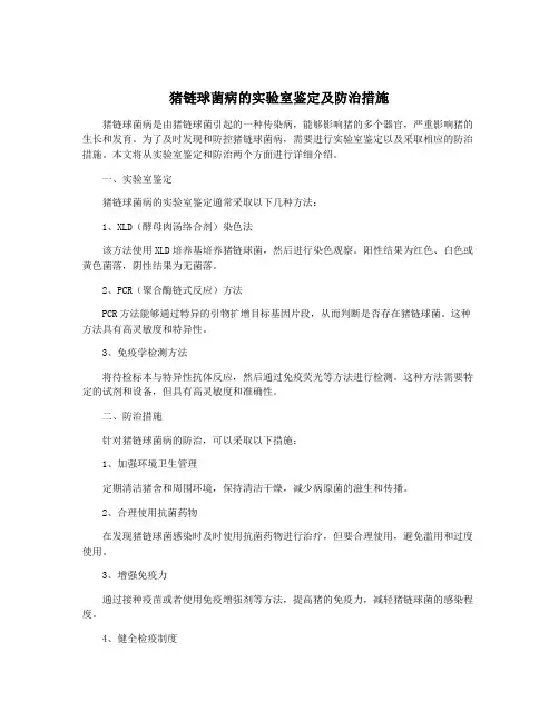 猪链球菌病的实验室鉴定及防治措施