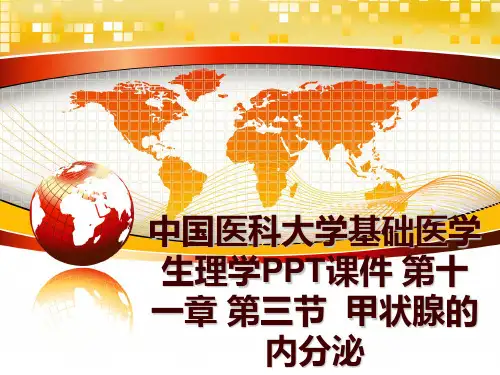 最新中国医科大学基础医学生理学PPT课件 第十一章 第三节  甲状腺的内分泌PPT课件