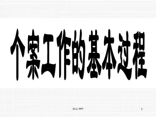 社工个案工作的基本过程精品课件