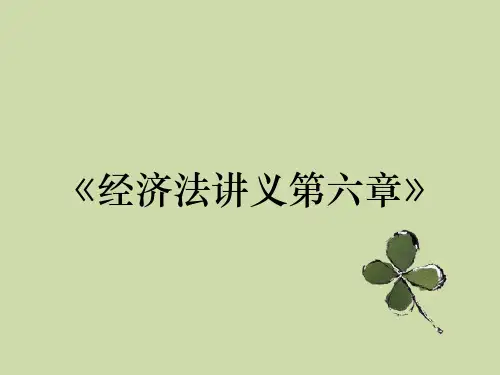 《经济法讲义第六章》