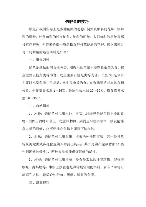 钓鱼技巧：钓鲈鱼的技巧