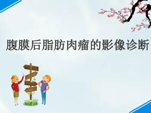 腹膜后脂肪肉瘤的影像诊断ppt课件