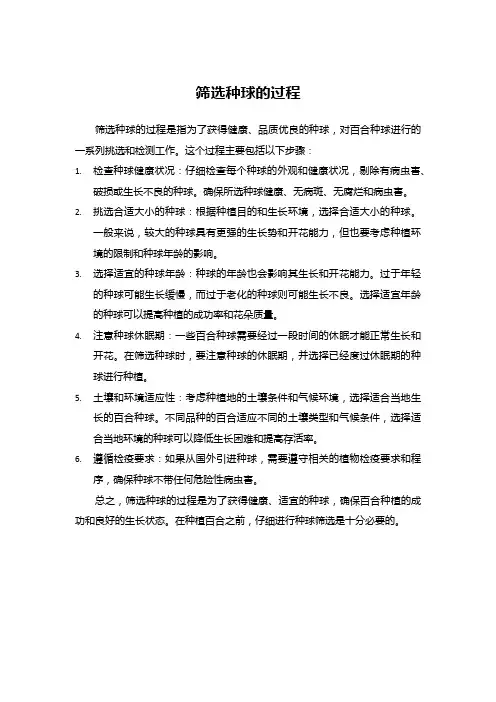 筛选种球的过程