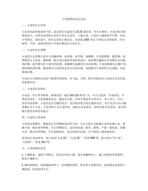 小麦植物知识点总结