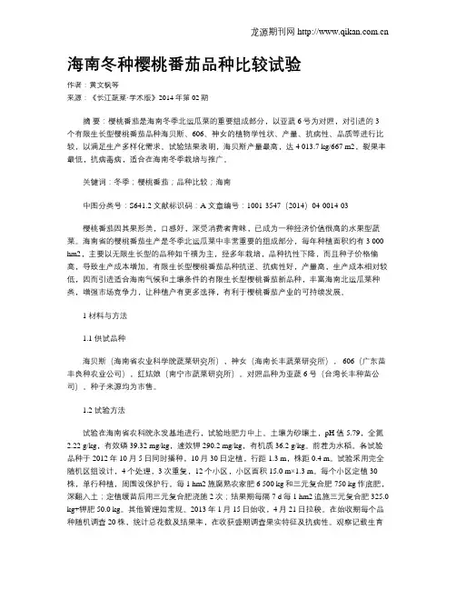 海南冬种樱桃番茄品种比较试验