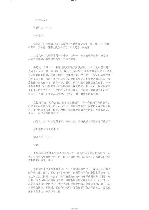 尝试作文(12篇)完整版