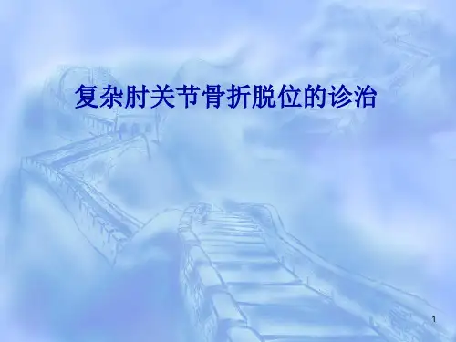 复杂肘关节骨折脱位的诊治PPT课件