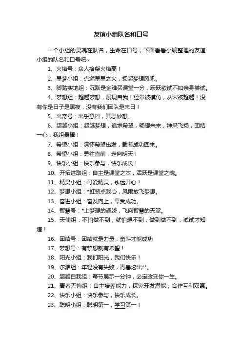 友谊小组队名和口号