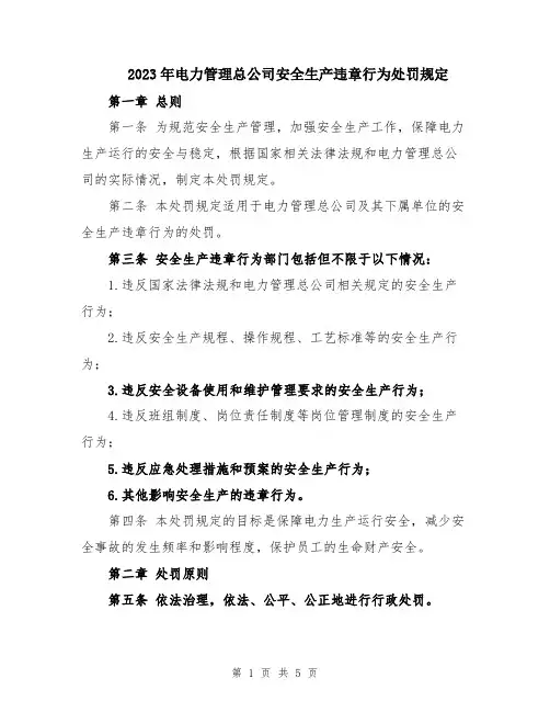 2023年电力管理总公司安全生产违章行为处罚规定