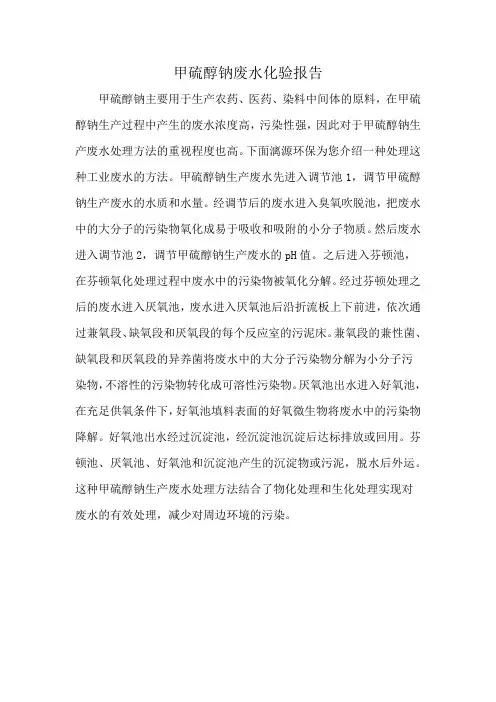 甲硫醇钠废水化验报告