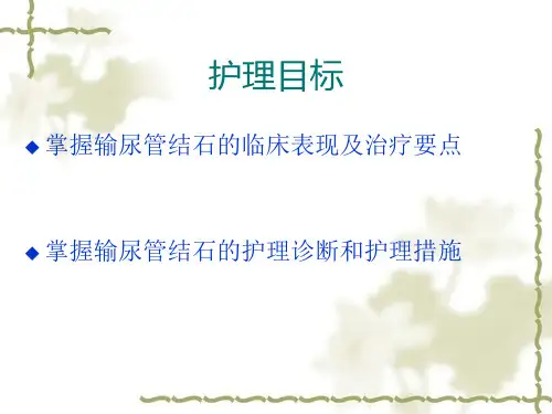 泌尿外科教学查房