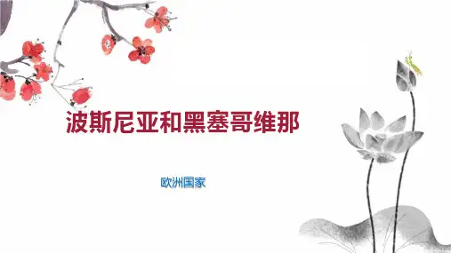 波斯尼亚和黑塞哥维那