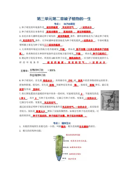 第五单元 被子植物的一生-七年级生物上册单元复习知识清单