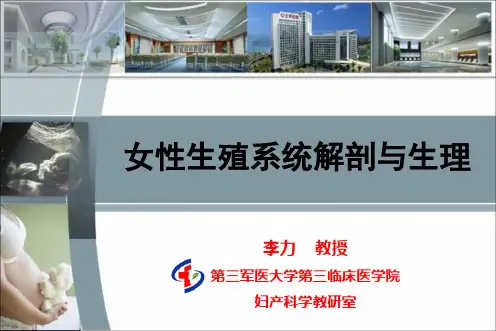 第1次课 女性生殖系统解剖与生理-1