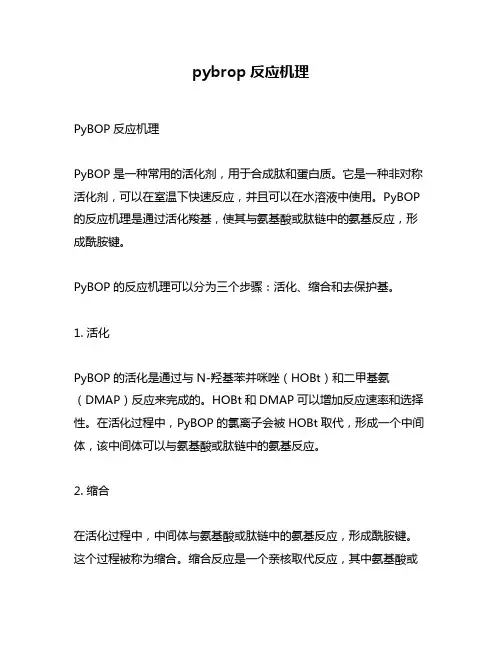 pybrop反应机理