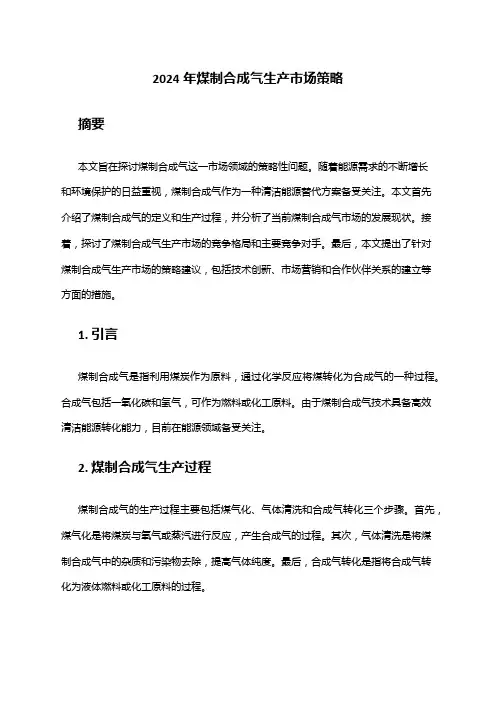 2024年煤制合成气生产市场策略