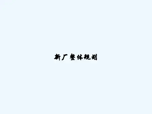 新厂整体规划 PPT