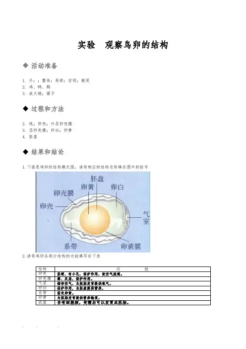 生物新人版8下探究活动报告册答案