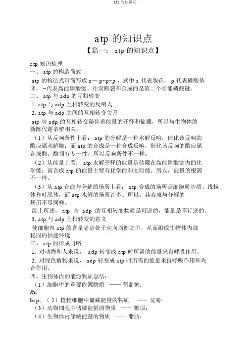 atp的知识点