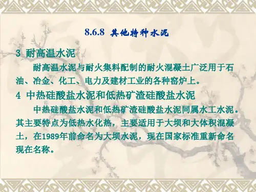 特种水泥