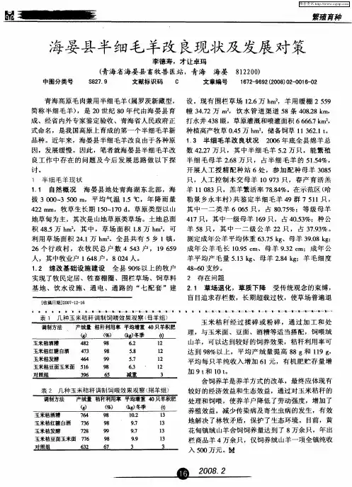 海晏县半细毛羊改良现状及发展对策