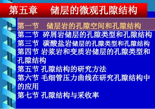 第五章 碎屑岩孔隙结构