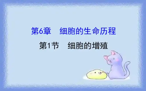 人教版生物必修1第6章《细胞的生命历程》(第1节)ppt