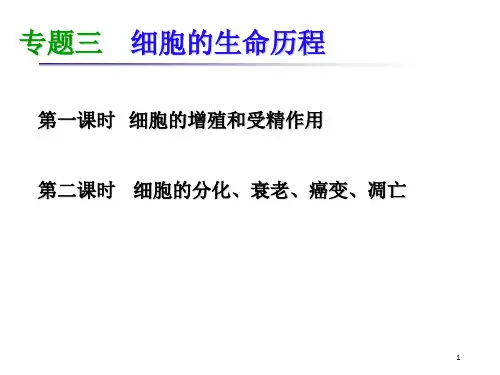 细胞的生命历程二轮复习(课堂PPT)