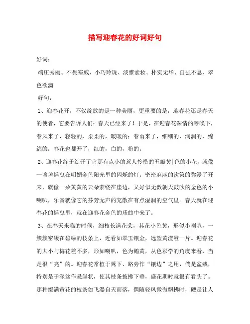 描写迎春花的好词好句