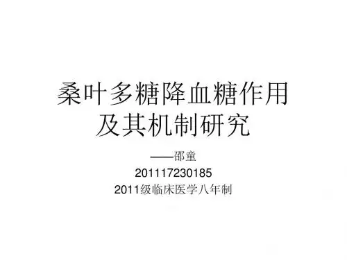桑叶多糖降血糖作用及其机制研究