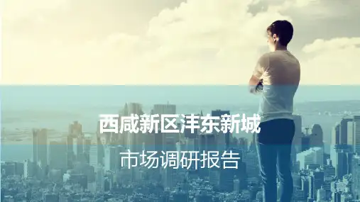 沣东新城市场调研报告5