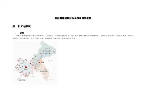 石柱土地调查报告100211