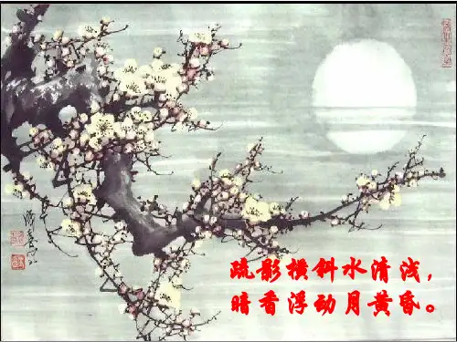 《病梅馆记》课件