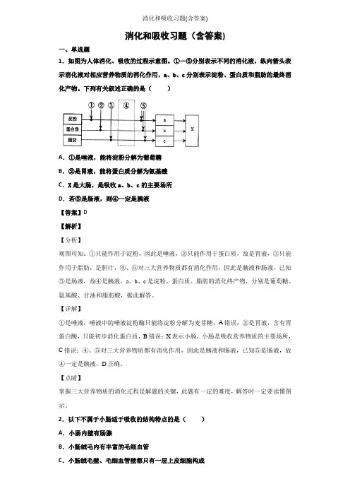 消化和吸收习题(含答案)