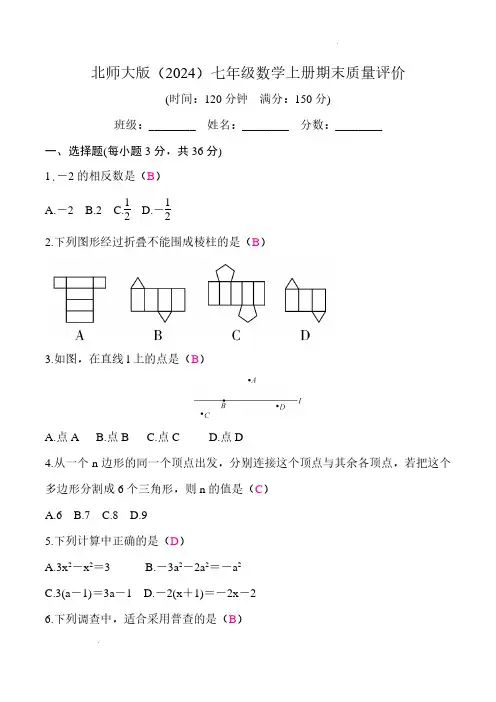 2024-2025学年北师大版七年级数学上册期末质量评价试题  答案版