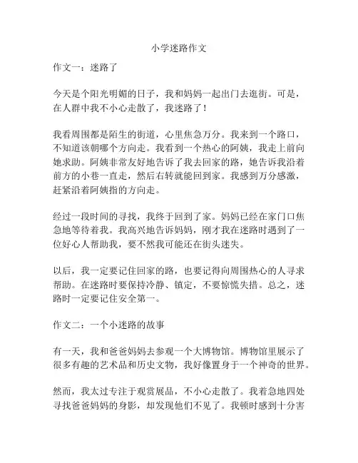 小学迷路作文