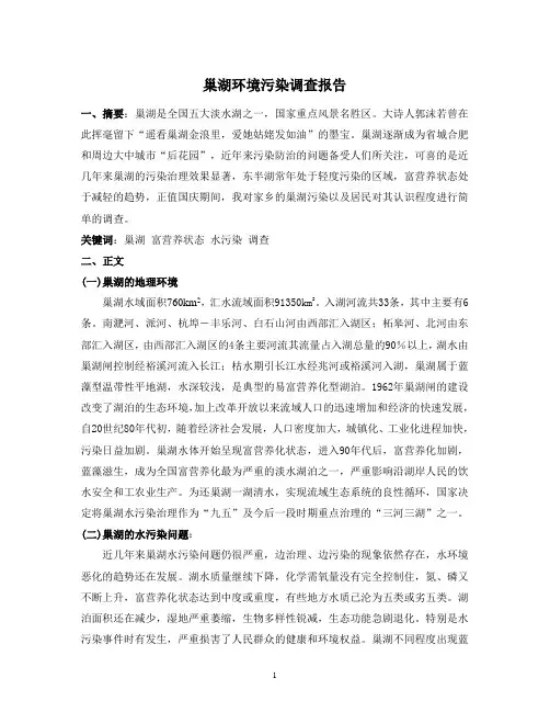 调查报告-巢湖环境问题